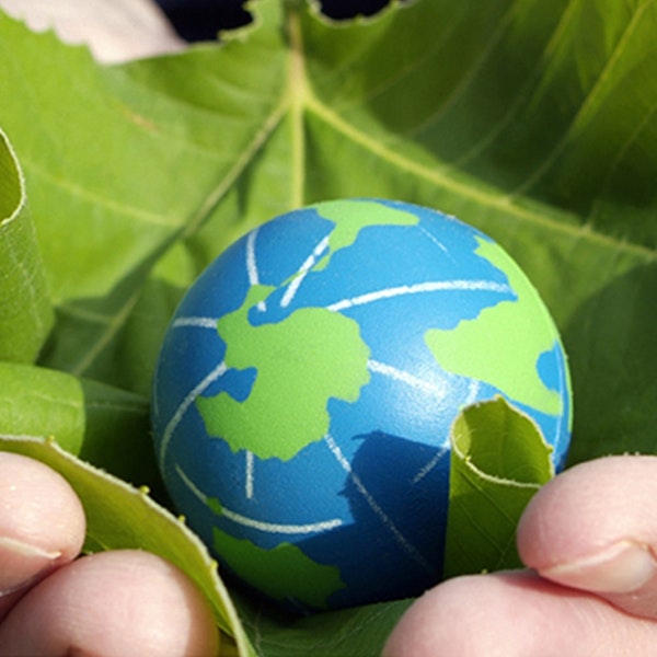 A photo of a stress ball that looks like Earth sitting in a big green leaf which is sitting in the palms of a persons hands