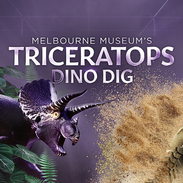 Triceratops dino dig