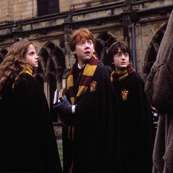 Harry, Hermione and Ron are in their robes looking at Hagrid off camera