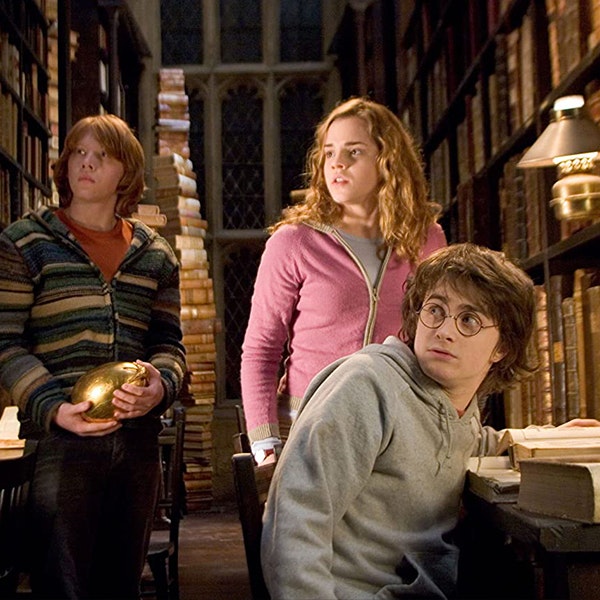 Harry, Hermione and Ron are in the Hogwarts library and Ron is holding Harry's golden egg