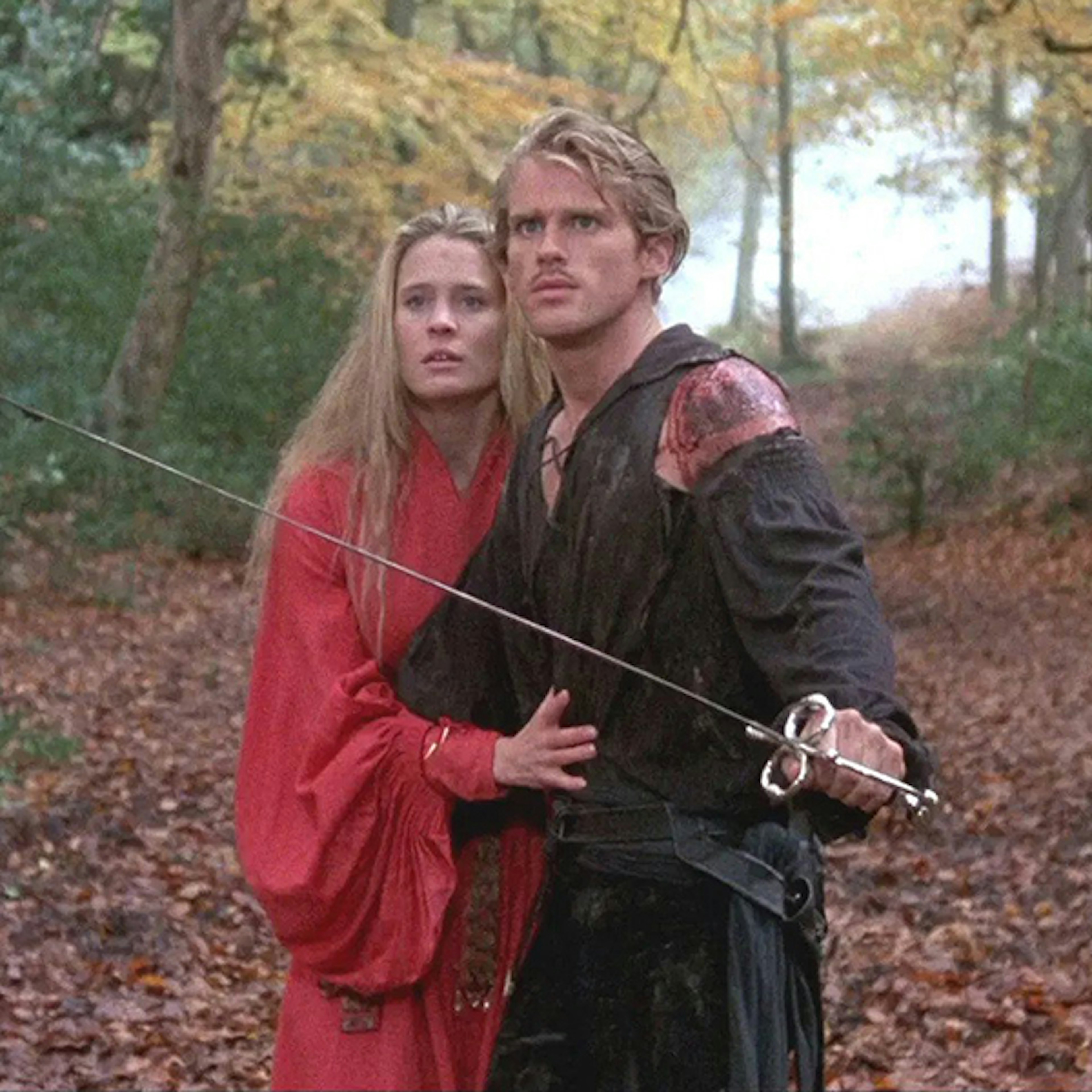 Princess Buttercup and Westley are standing in a forest as Westley protects the Princess while holding a sword in the Princess Bride