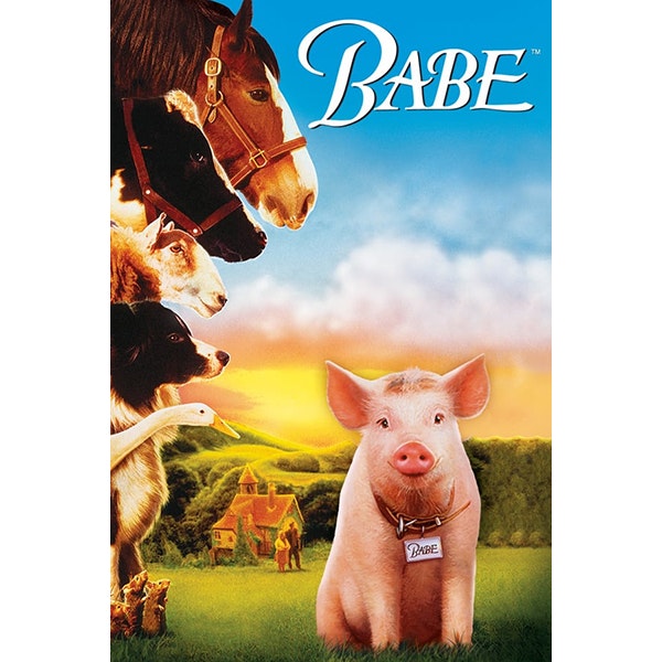 Film poster for Babe