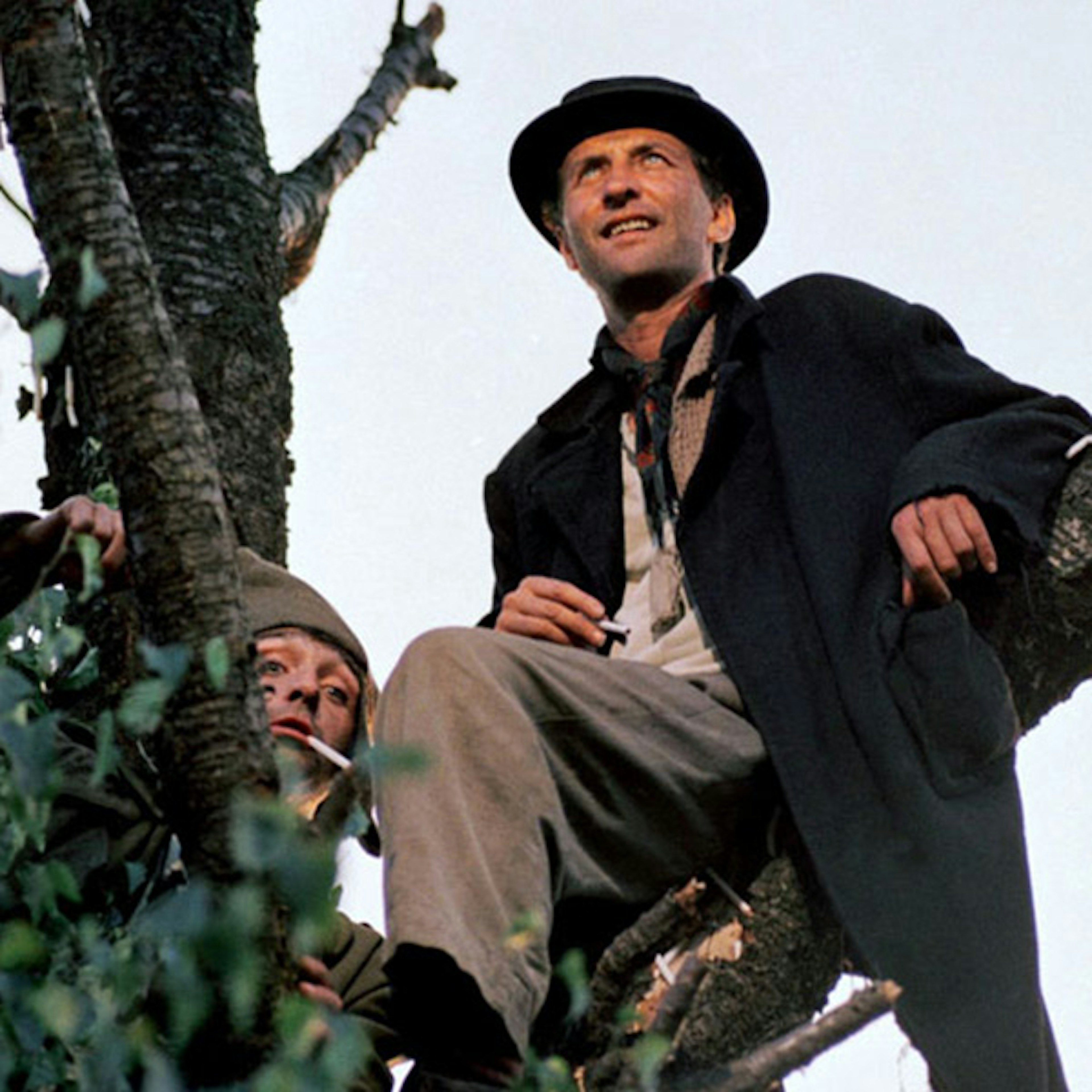 An image of a man sitting on the branch of a tree smiling, looking into the distance. He has a friend to the right of him lower down the tree smiling and looking into the camera, the friend's body and part of their face is obscured