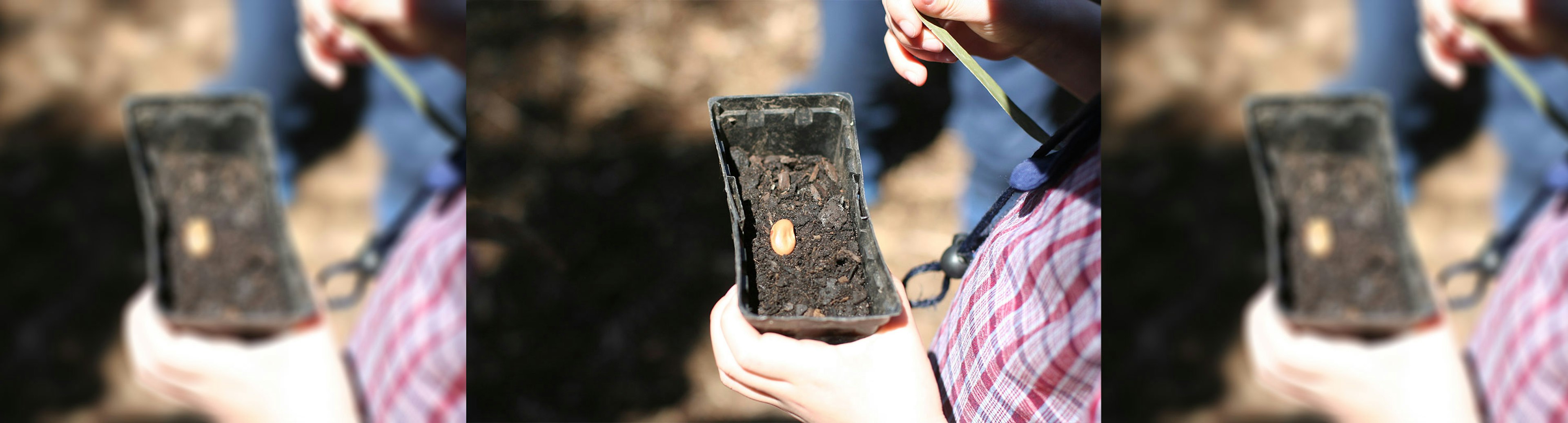 A person is holding a plastic pot with a seed sitting on top if dirt.