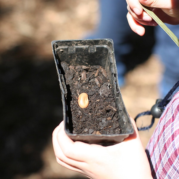 A person is holding a plastic pot with a seed sitting on top if dirt.