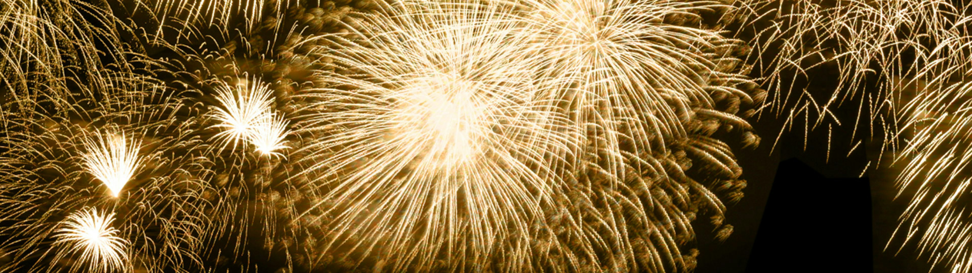 Yellow fireworks exploding in the sky