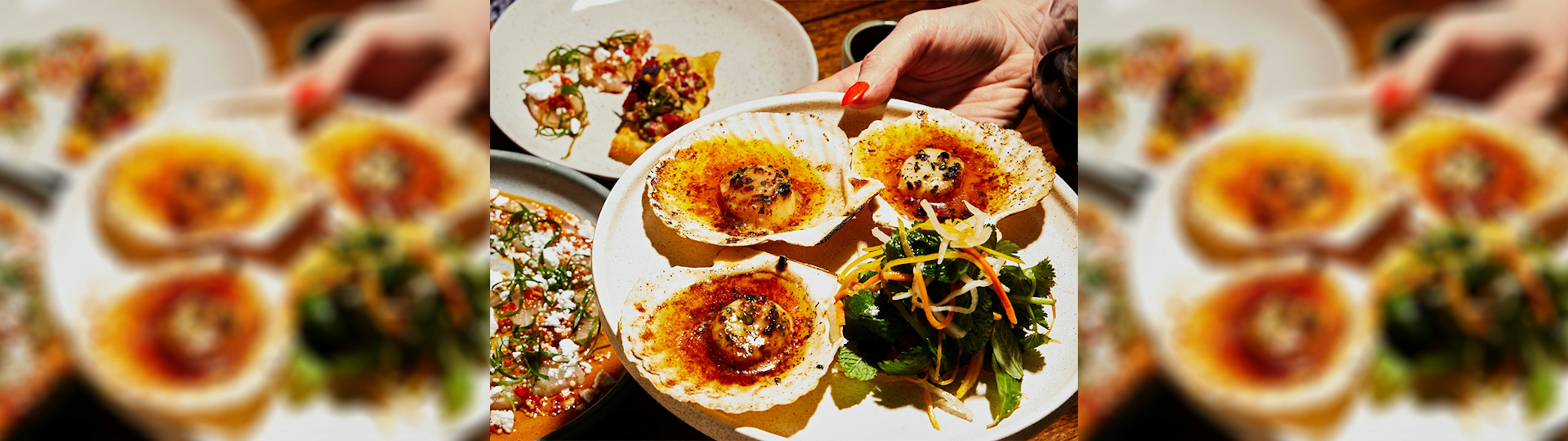 A hand holding a plate of three seared scallops in their shell